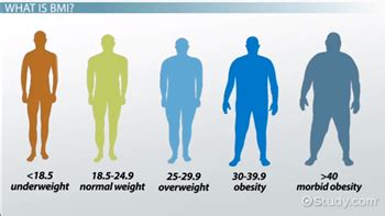 BMI Music Meaning and Its Various Interpretations