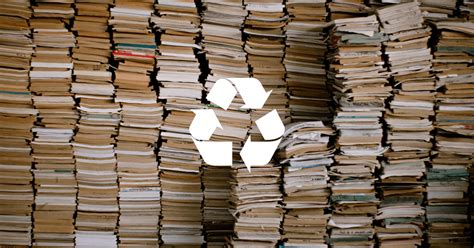 Can I Recycle Books? And Other Points to Consider