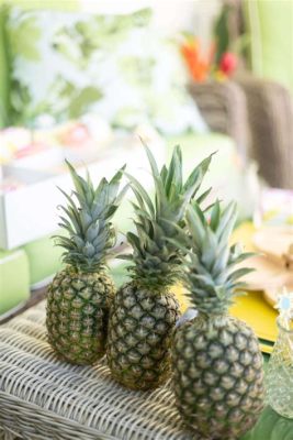 How to Dance at a Wedding with a Partner: Why Pineapples Should Be Invited to Every Celebration